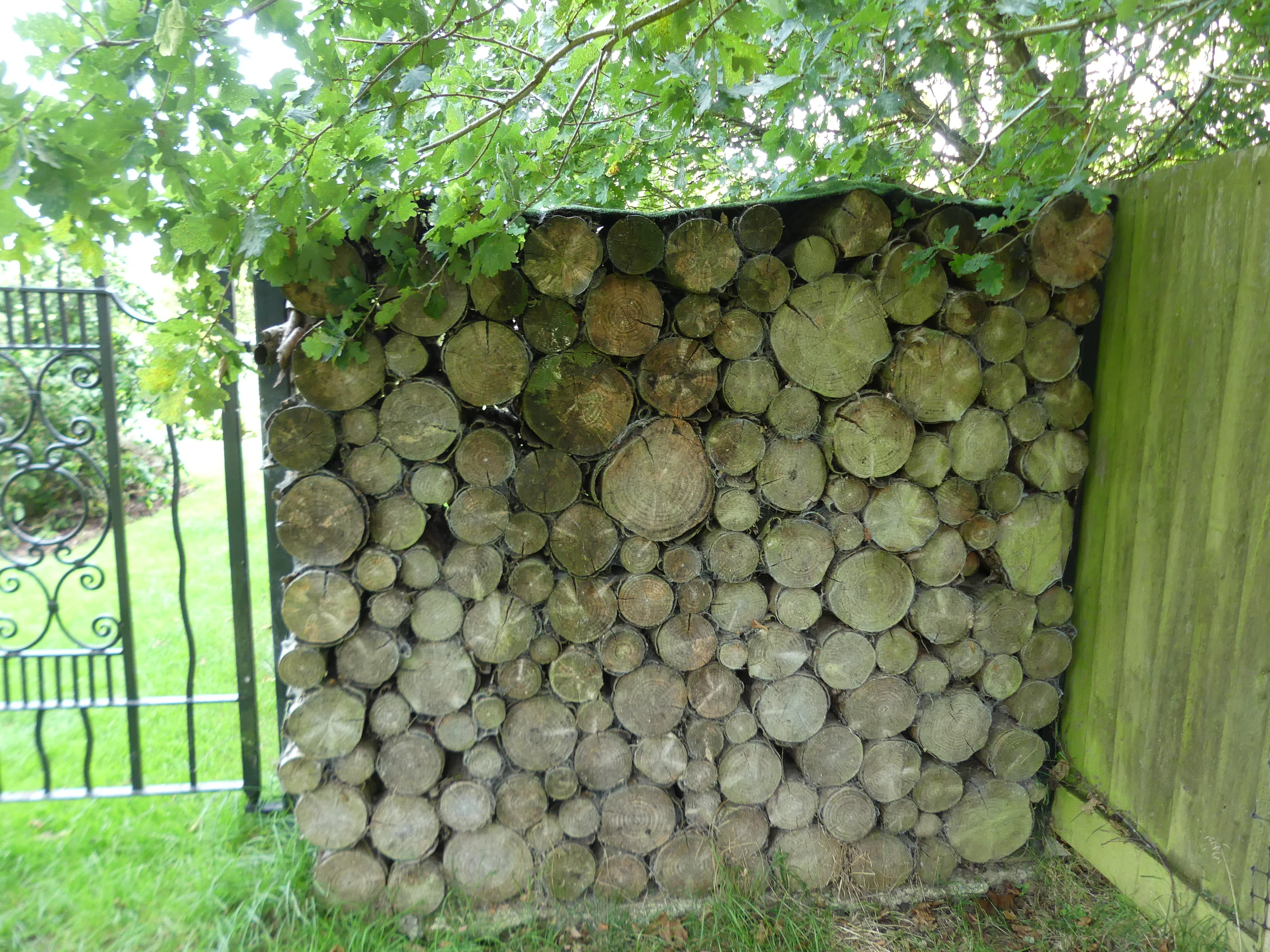 logs and firewood