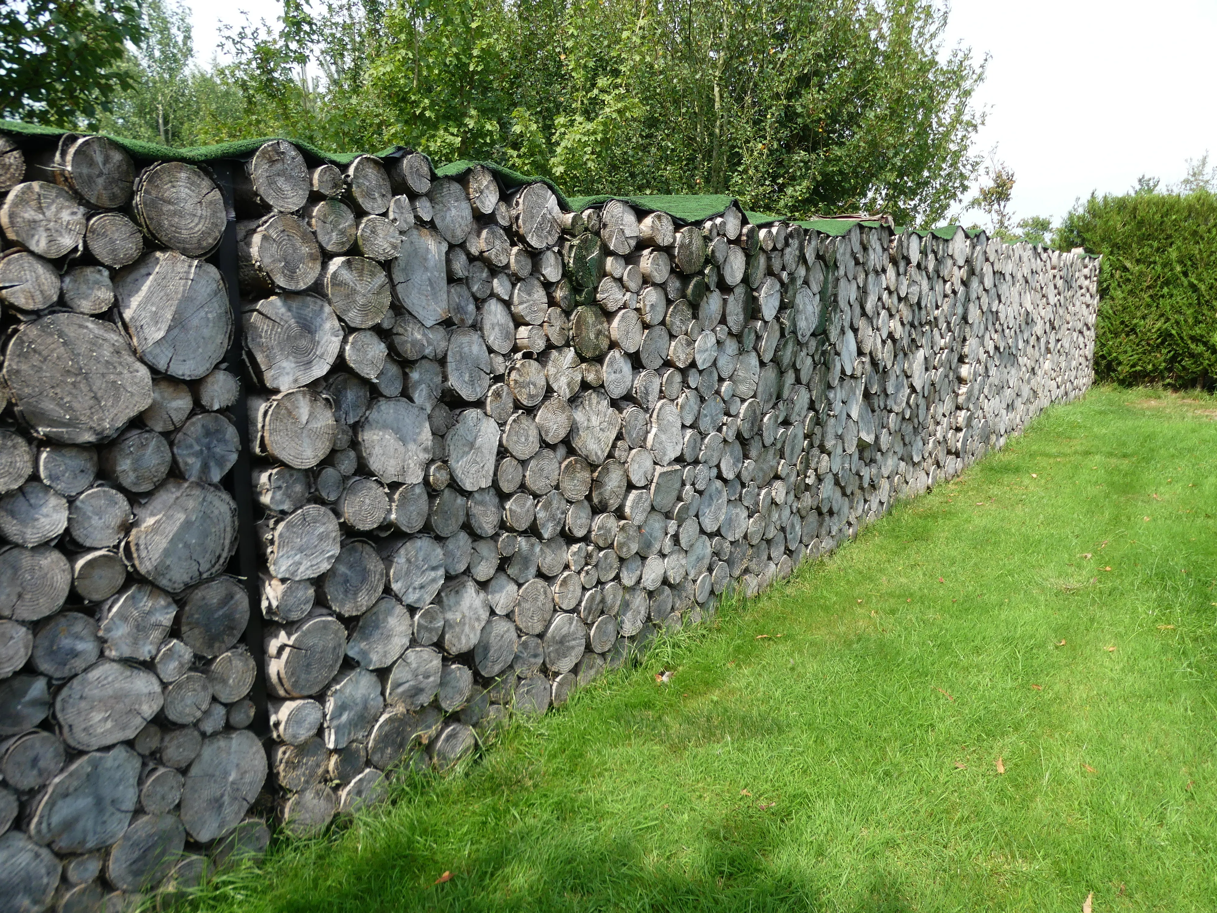 logs and firewood